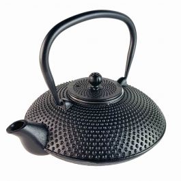 Zwarte Kurogane gietijzeren theepot met roestvrijstalen filter voor losse thee