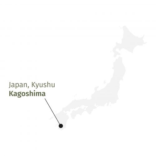 Gyokuro Mikoto Japanse schaduwthee met romige umami