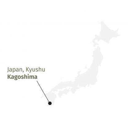 Gyokuro Mikoto Japanse schaduwthee met romige umami