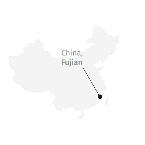 Biologische Anji Bai Cha Witte Thee: Uitzonderlijke Kwaliteit, Delicaat Aroma, Handgeperst