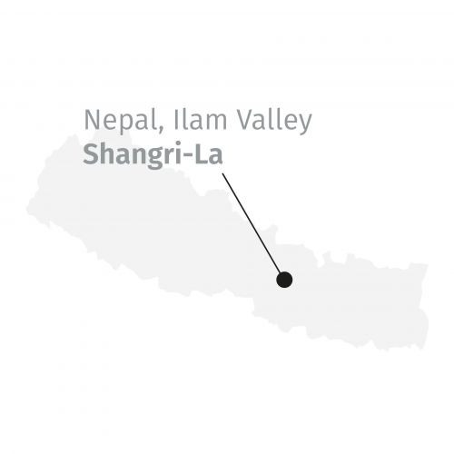 Himalaya Sneeuwberg Biologische Witte Thee: Zeldzaam, Mild, Zoet Genot