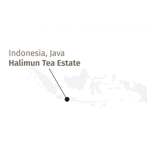 Exclusieve Biologische Halimun Jade Oolong Thee uit Java - Handgerolde Melkfrisse Parels