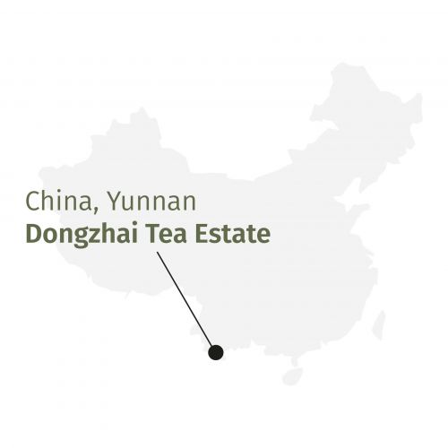 Biologische Zwarte Gouden Slak Thee: Eerste Kwaliteit Handgerolde Bladthee