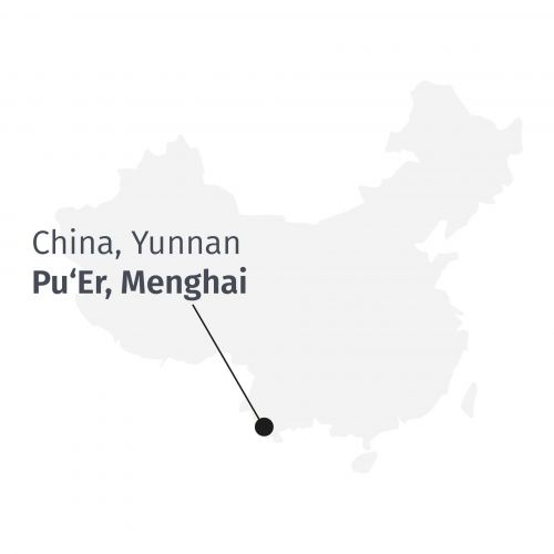 Premium Biologische Pu-Erh Menghai Thee, Vijf Jaar Gerijpt, Rijke Chocoladesmaak