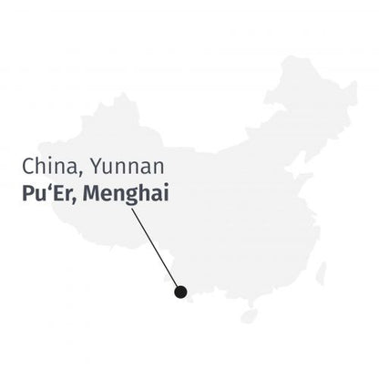 Premium Biologische Pu-Erh Menghai Thee, Vijf Jaar Gerijpt, Rijke Chocoladesmaak