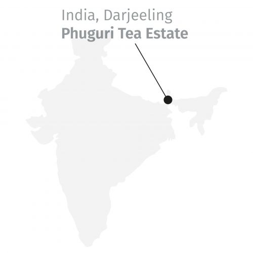 Alveus Biologische Darjeeling Phuguri Eerste Pluk Witte Thee, Handgemaakt en Luxe