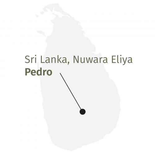 Alveus Biologische Zwarte Thee Sri Lanka: Krachtige Bloemige Smaakervaring