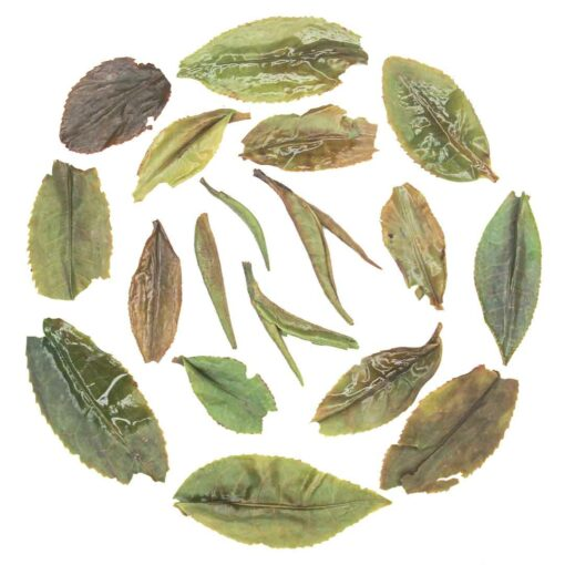 Darjeeling Classic First Flush 2026 – opengetrokken theeblad in detail