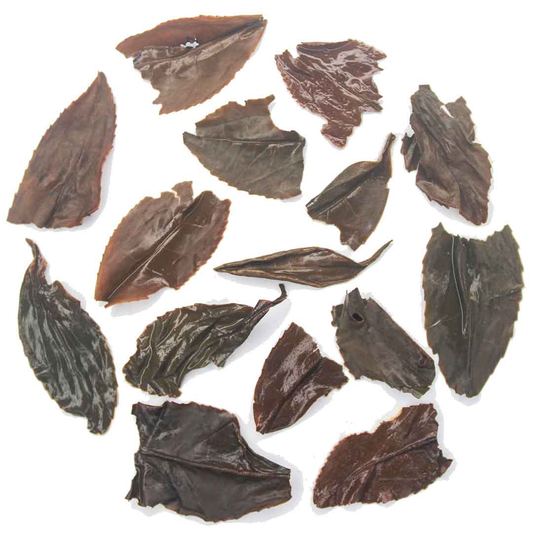 Rohini Classic Roasted Yabukita – opengetrokken theeblad in detail
